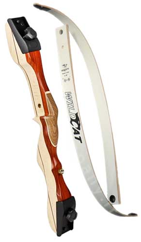 Arco scuola Wildcat