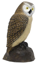 Civetta